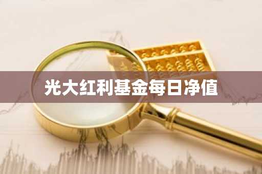 光大红利基金每日净值