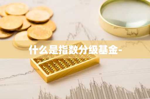 什么是指数分级基金-