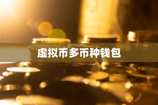 虚拟币多币种钱包