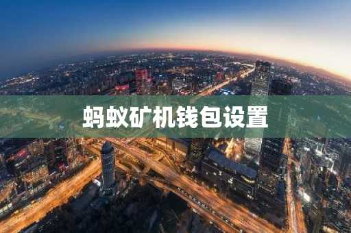 蚂蚁矿机钱包设置