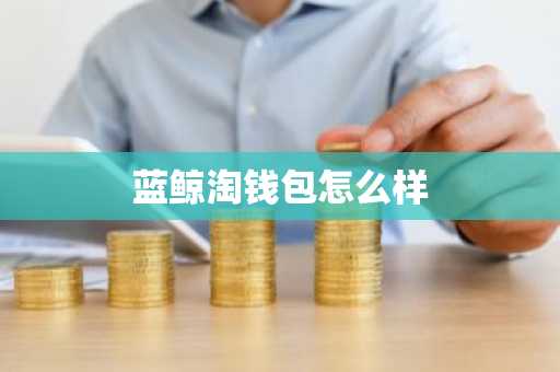 蓝鲸淘钱包怎么样