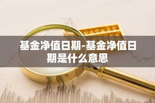 基金净值日期-基金净值日期是什么意思