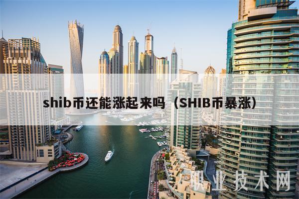 shib币还能涨起来吗（SHIB币暴涨