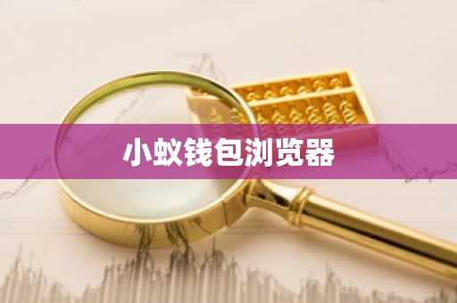 小蚁钱包浏览器