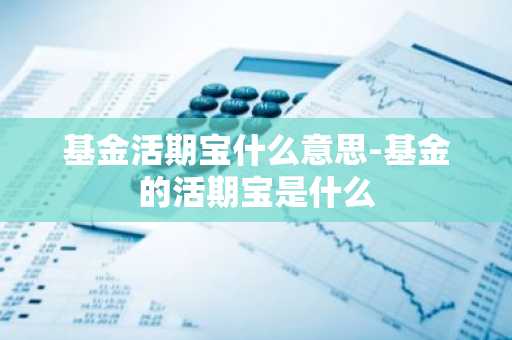 基金活期宝什么意思-基金的活期宝是什么