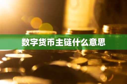 数字货币主链什么意思