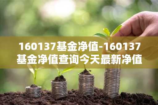 160137基金净值-160137基金净值查询今天最新净值