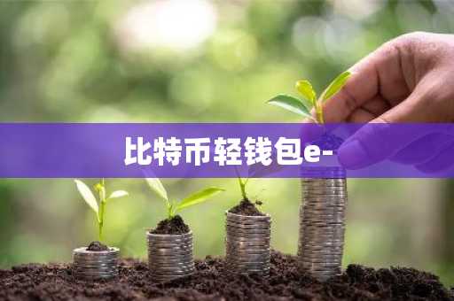 比特币轻钱包e-