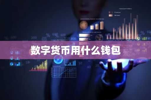 数字货币用什么钱包