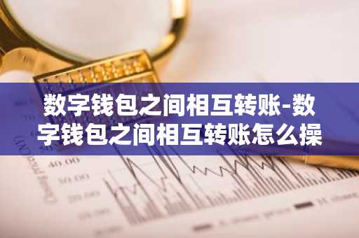 数字钱包之间相互转账-数字钱包之间相互转账怎么操作
