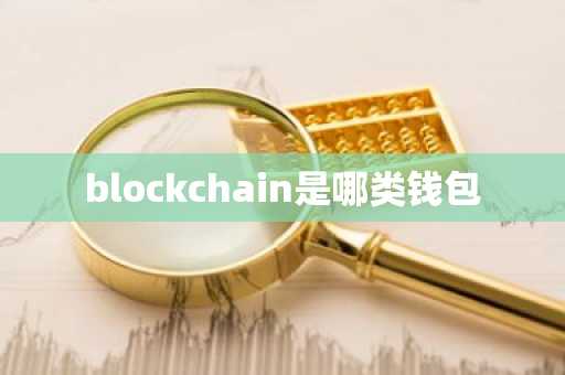 blockchain是哪类钱包