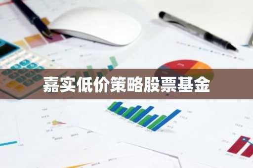 嘉实低价策略股票基金