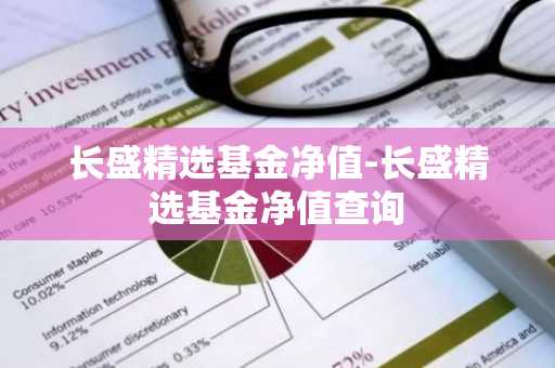 长盛精选基金净值-长盛精选基金净值查询
