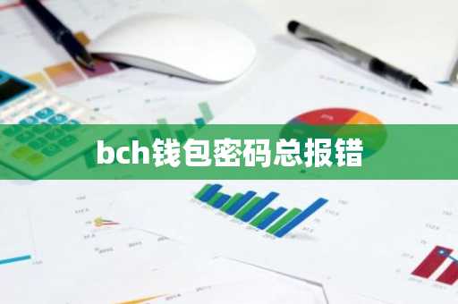 bch钱包密码总报错