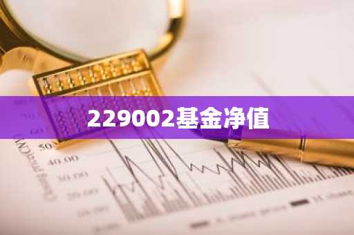 229002基金净值