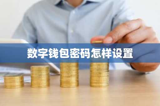 数字钱包密码怎样设置
