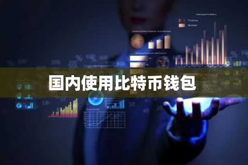 国内使用比特币钱包