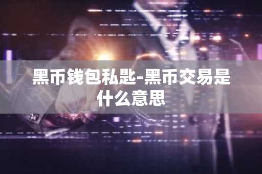 黑币钱包私匙-黑币交易是什么意思