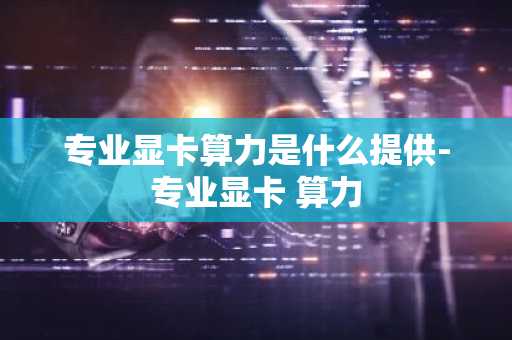 专业显卡算力是什么提供-专业显卡 算力
