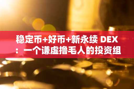 稳定币 好币 新永续 DEX：一个谦虚撸毛人的投资组合分享