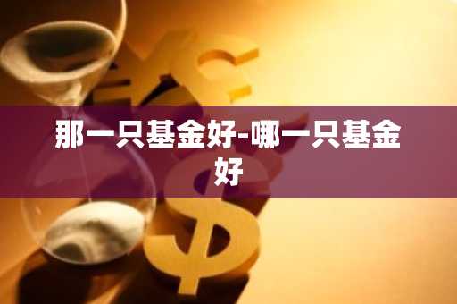那一只基金好-哪一只基金好