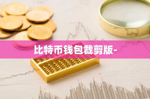 比特币钱包裁剪版-