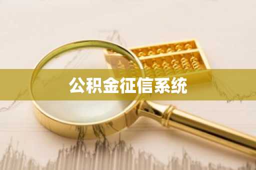 公积金征信系统