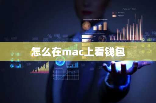 怎么在mac上看钱包