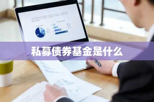 私募债券基金是什么