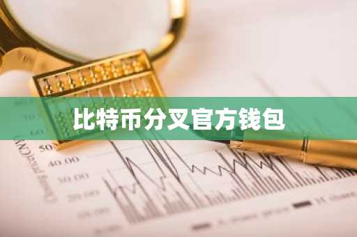 比特币分叉官方钱包