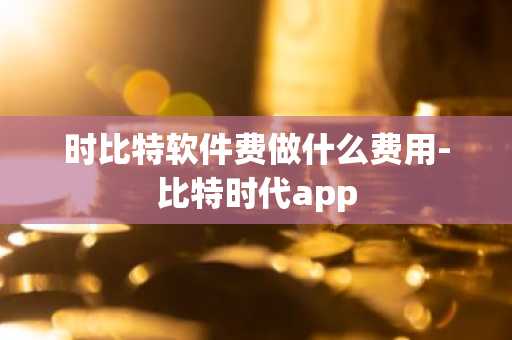 时比特软件费做什么费用-比特时代app
