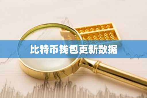 比特币钱包更新数据