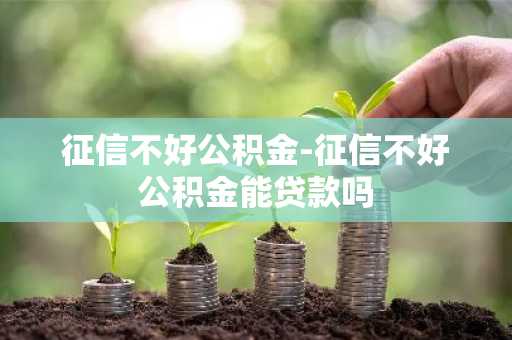 征信不好公积金-征信不好公积金能贷款吗