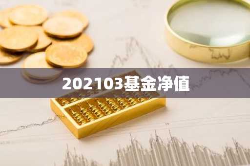 202103基金净值