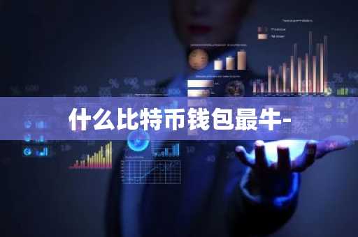 什么比特币钱包最牛-