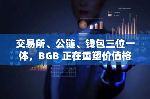 交易所、公链、钱包三位一体，BGB 正在重塑价值格局？