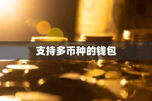 支持多币种的钱包