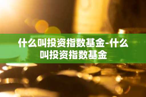 什么叫投资指数基金-什么叫投资指数基金