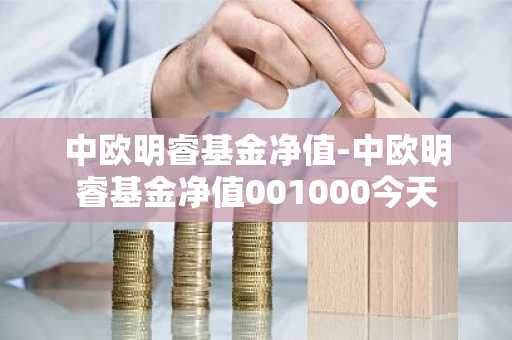 中欧明睿基金净值-中欧明睿基金净值001000今天