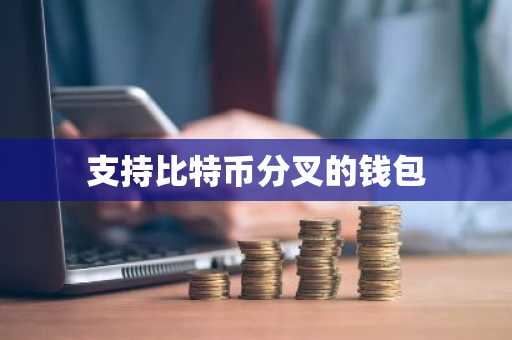 支持比特币分叉的钱包
