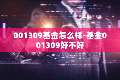 001309基金怎么样-基金001309好不好