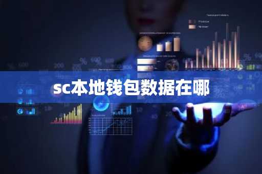 sc本地钱包数据在哪