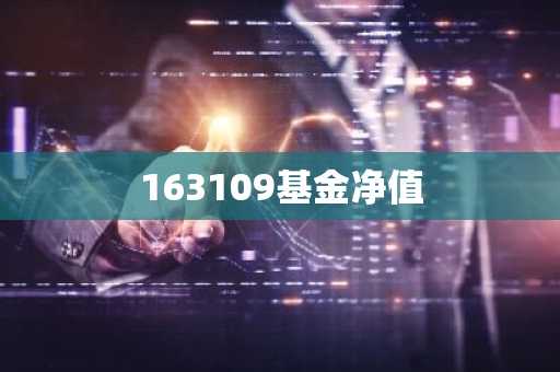 163109基金净值
