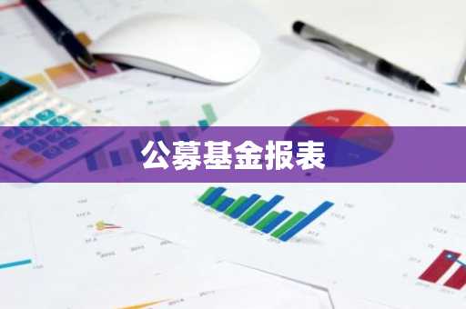 公募基金报表