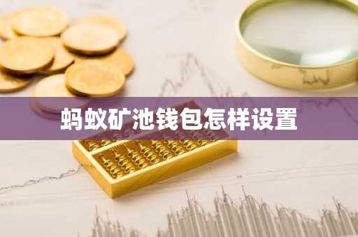 蚂蚁矿池钱包怎样设置