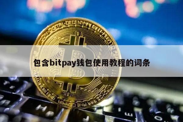 包含bitpay钱包使用教程的词条
