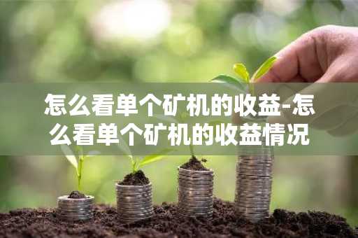 怎么看单个矿机的收益-怎么看单个矿机的收益情况