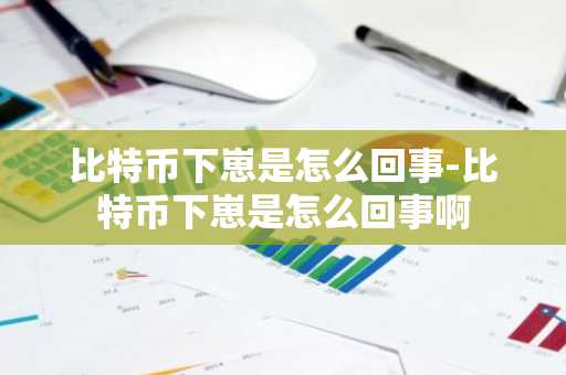 比特币下崽是怎么回事-比特币下崽是怎么回事啊
