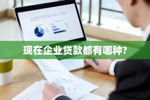现在企业贷款都有哪种?