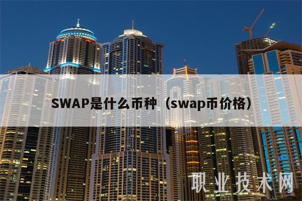 SWAP是什么币种（swap币价格）